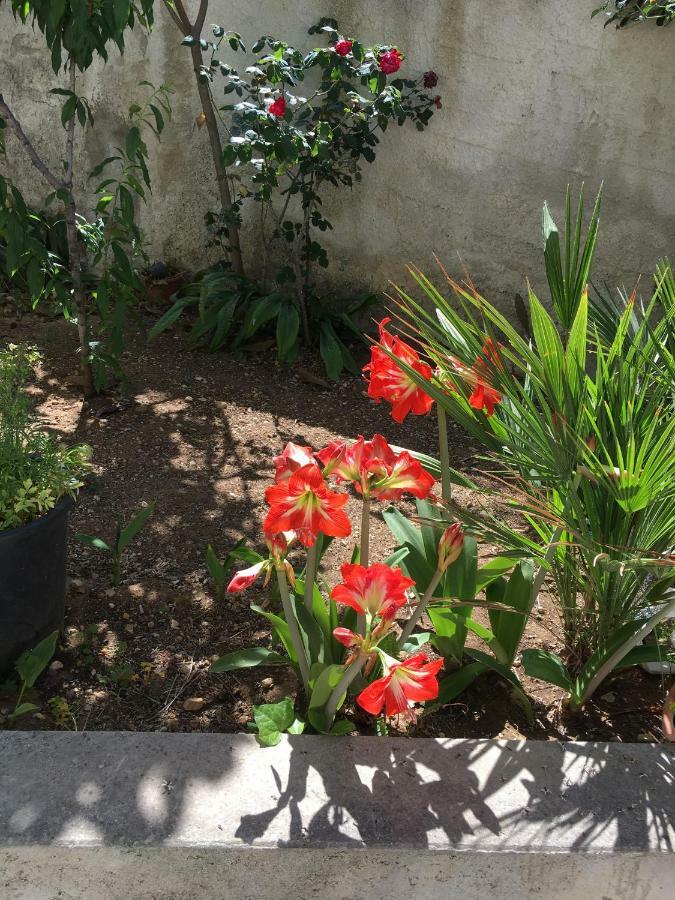 Casa Vacanza Demi Alcamo Marina Kültér fotó